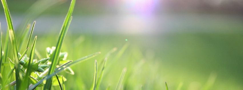 Lawn Maintenance This September