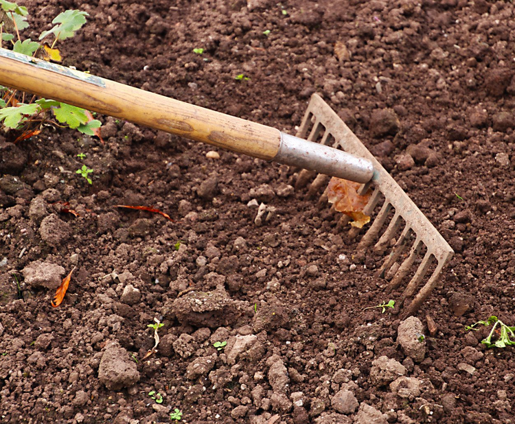 Compost