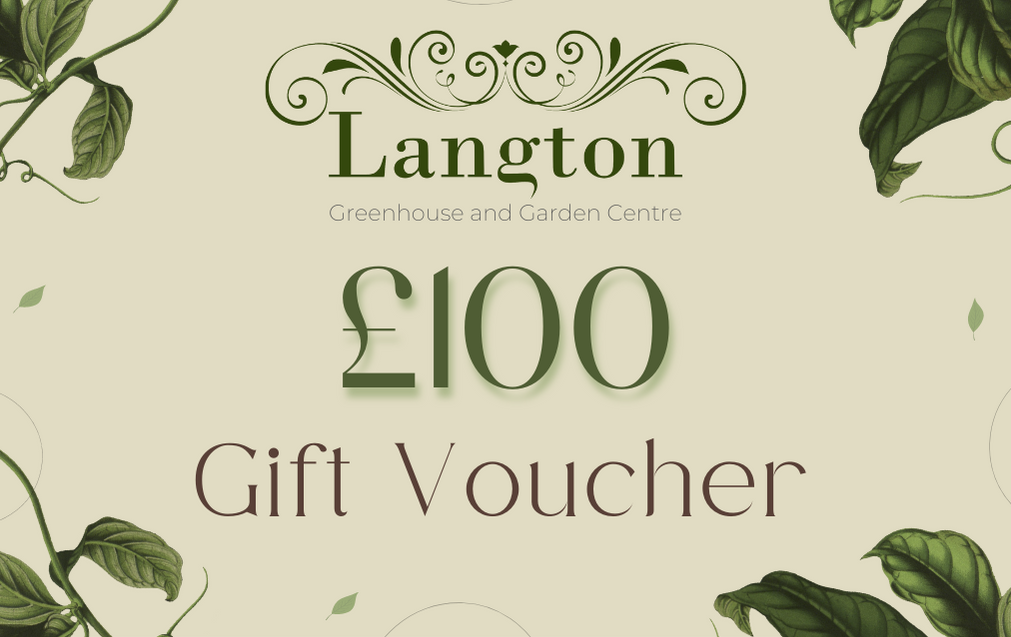 Langton Greenhouse eVoucher