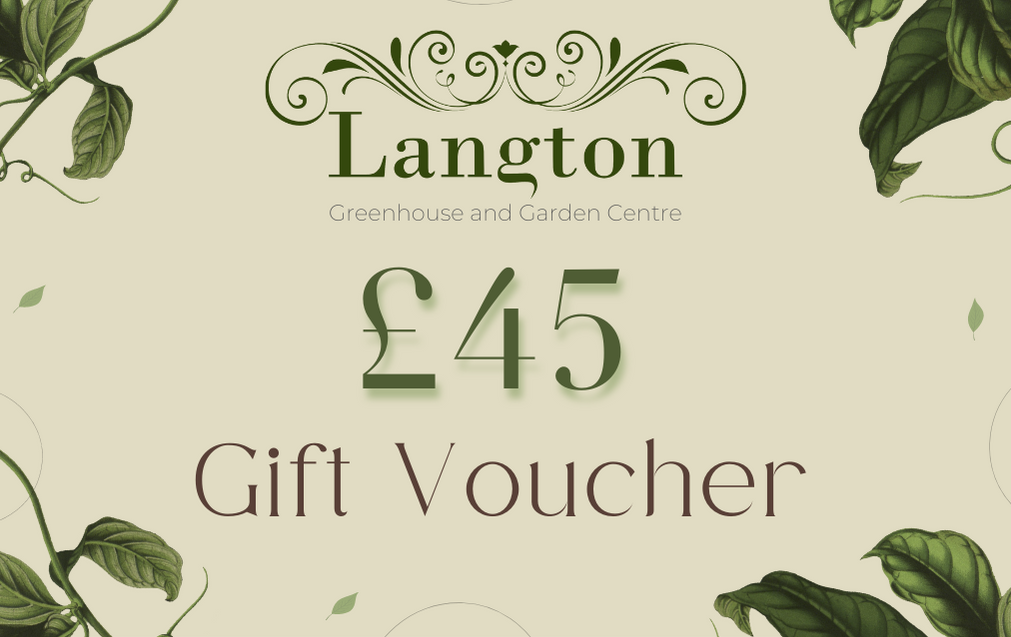 Langton Greenhouse eVoucher