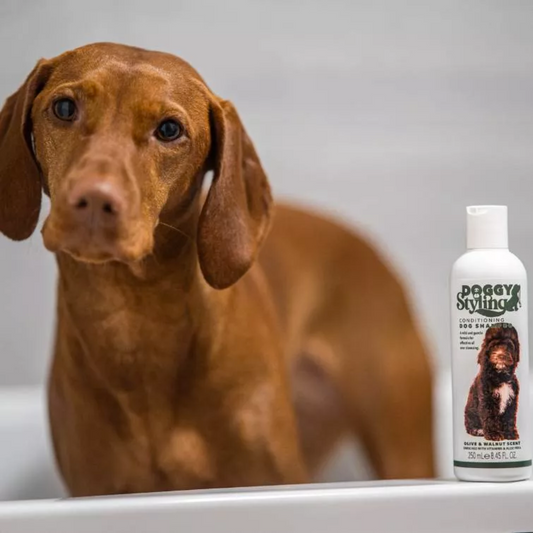 Doggy Styling Conditioning Dog Shampoo