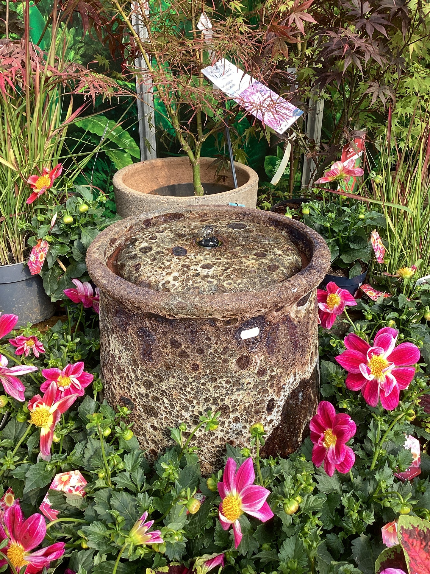 Talia Brown Fossil Water Feature