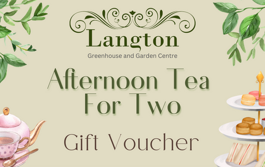 Langton Greenhouse Afternoon Tea Voucher