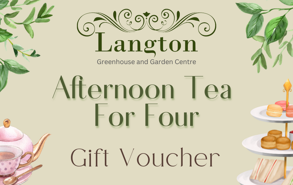 Langton Greenhouse Afternoon Tea Voucher