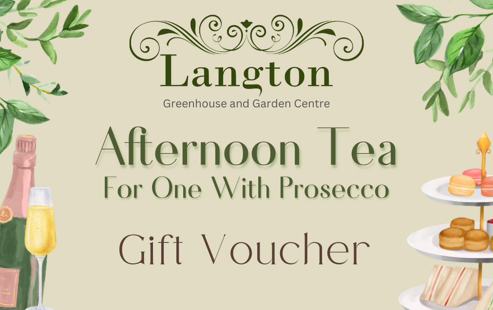 Langton Greenhouse Afternoon Tea with Prosecco Voucher