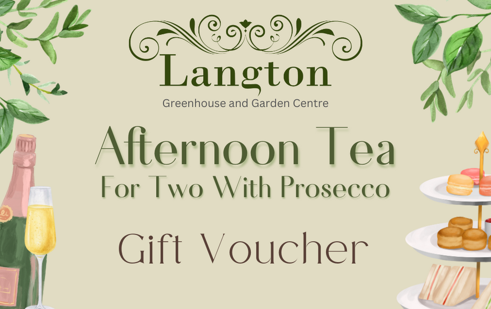 Langton Greenhouse Afternoon Tea with Prosecco Voucher