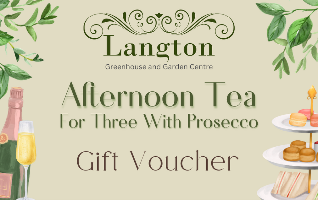Langton Greenhouse Afternoon Tea with Prosecco Voucher