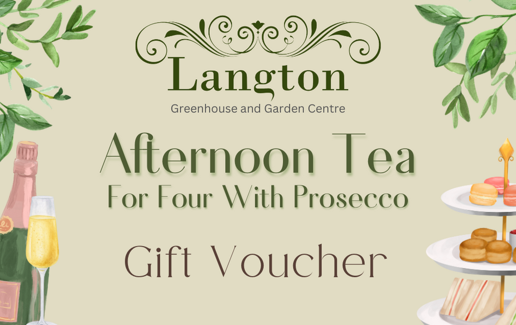 Langton Greenhouse Afternoon Tea with Prosecco Voucher
