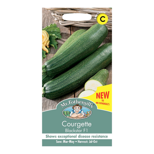 Mr.Fothergill's Courgette Blackstar F1 Vegetable Seeds