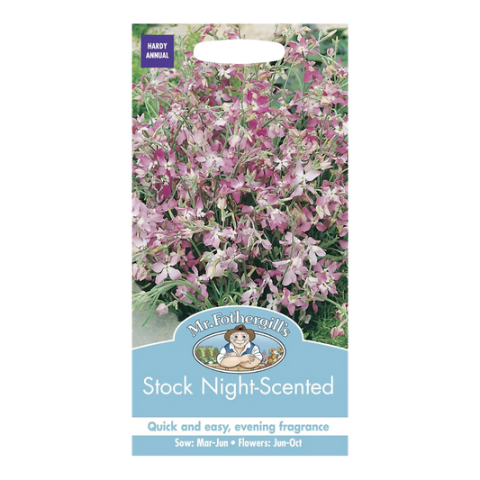 Mr.Fothergill's Stock Night-Scented Flower Seeds