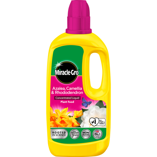 Miracle-Gro Azalea, Camellia & Rhododendron Concentrated Liquid Plant Food