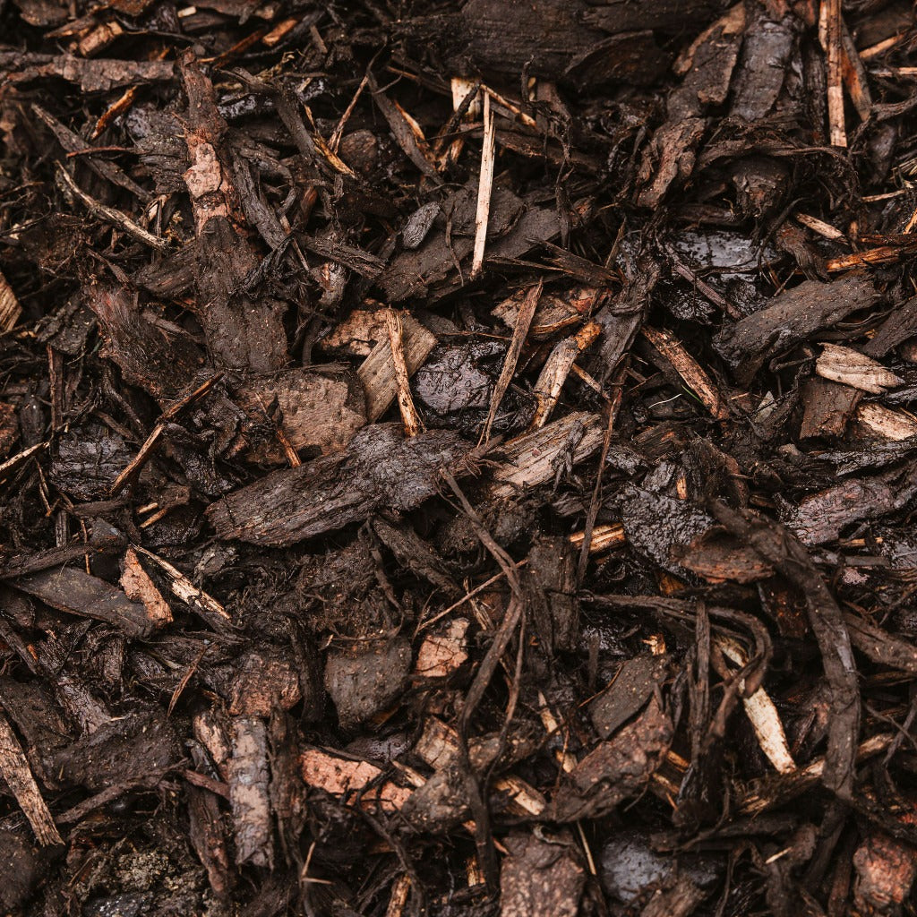 Westland Landscape Bark 90L Special Offer 2 for £16