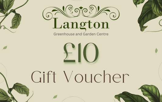 Langton Greenhouse Gift Card