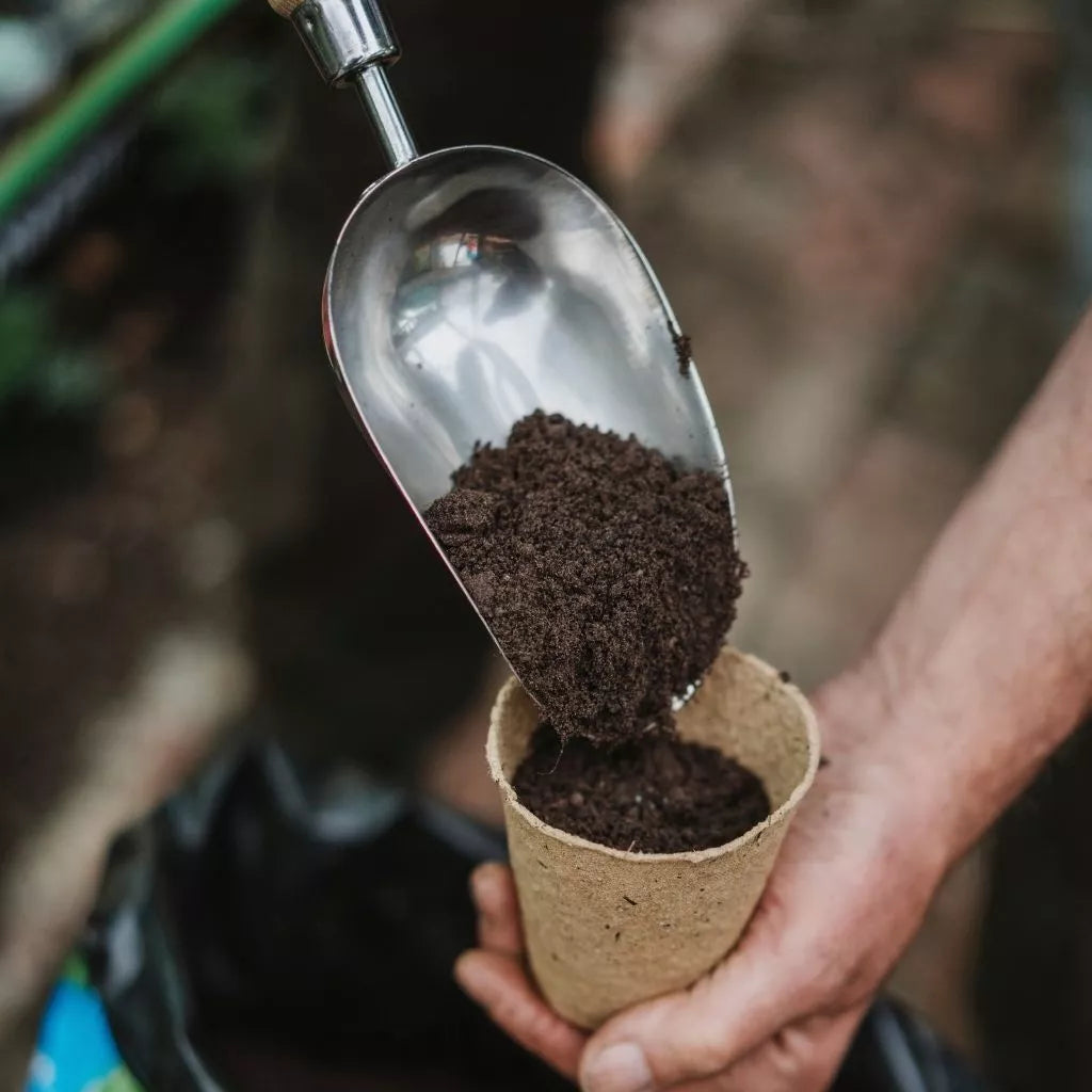 John Innes No.2 Compost 28L (2 for £12)