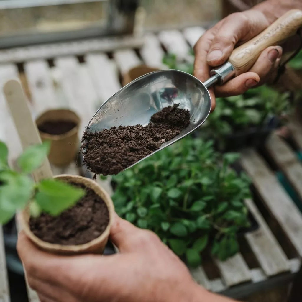 John Innes No.2 Compost 28L (2 for £12)