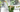 How To Identify Poorly Houseplants