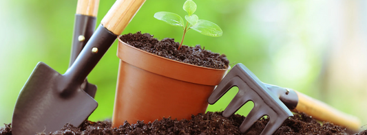 Six Gardening Jobs To Do In September