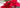 The Mystery of the Poinsettia...