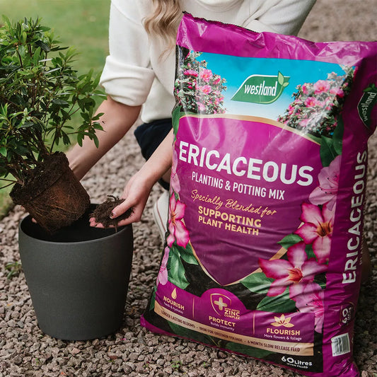 Westland Ericaceous Compost 25L