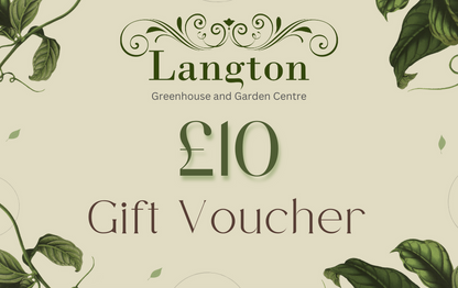 Langton Greenhouse Afternoon Tea with Prosecco Voucher