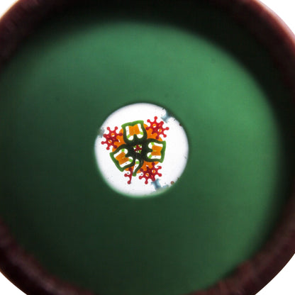 House of Marbles Peacock Kaleidoscope