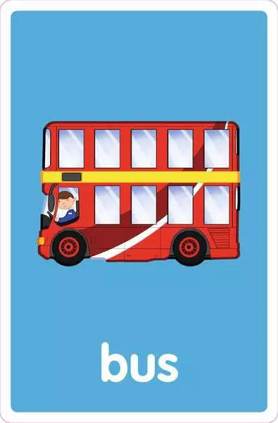 My First Flash Cards