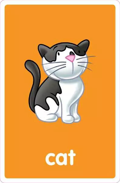 My First Flash Cards