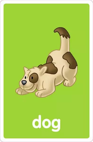 My First Flash Cards