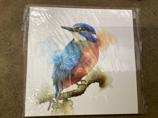 The Great British Card Co - Kingfisher