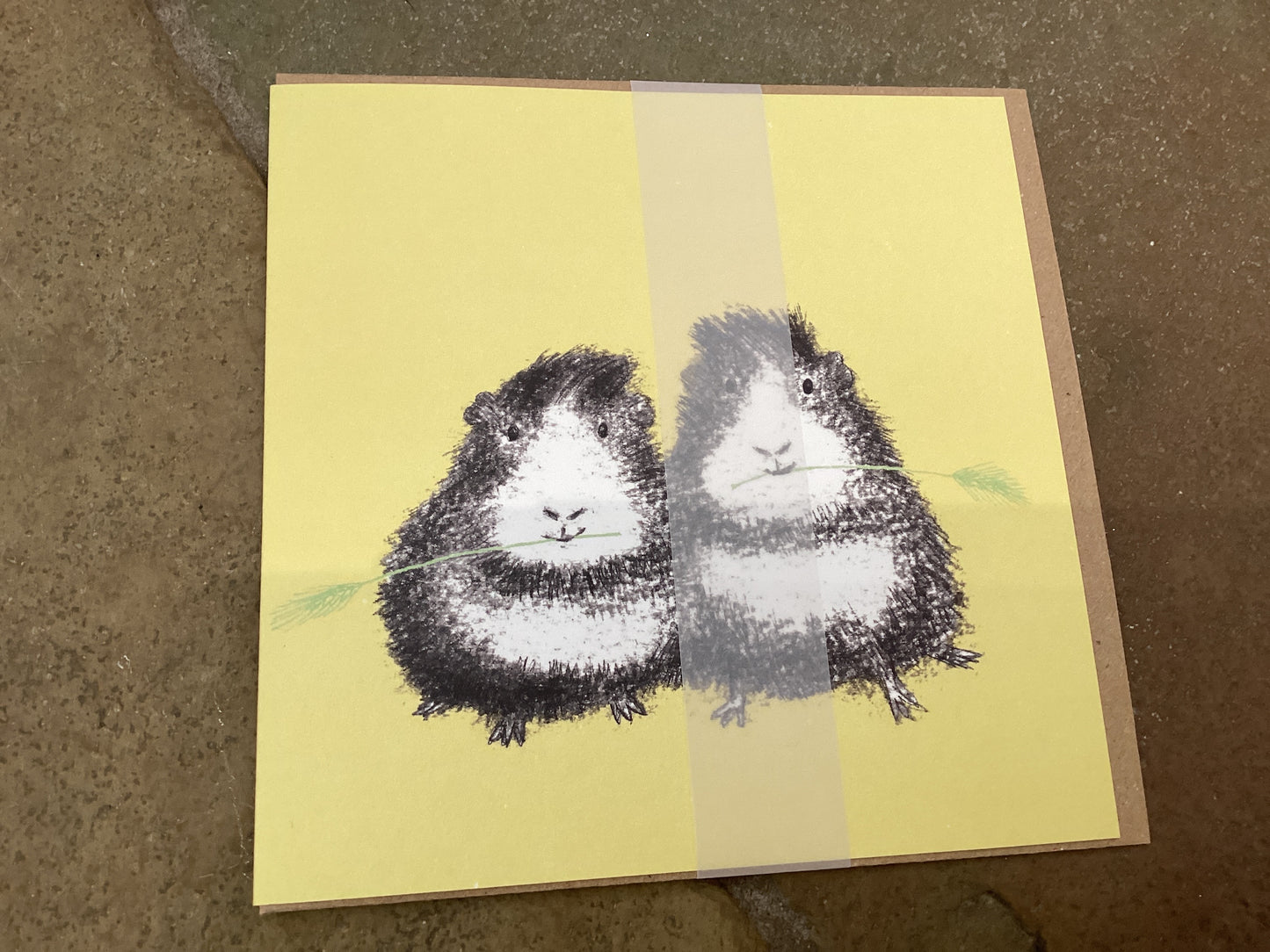 Paper Bird Greeting Card Cats in- Yummy