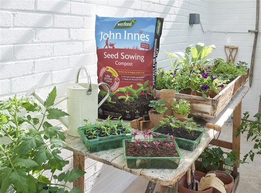 Westland John Innes Seed Compost 28L (2 for £12)