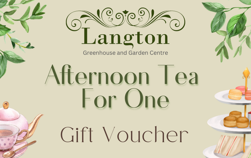 Langton Greenhouse Afternoon Tea Voucher