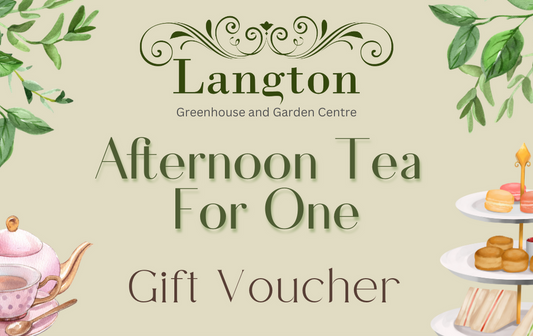Langton Greenhouse Afternoon Tea Voucher