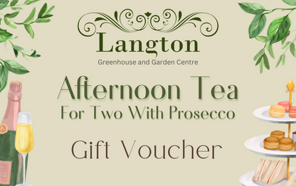 Langton Greenhouse Afternoon Tea with Prosecco Voucher