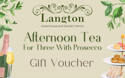 Langton Greenhouse Afternoon Tea with Prosecco Voucher