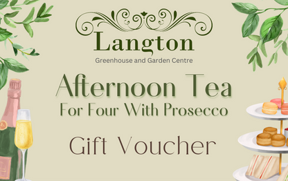 Langton Greenhouse Afternoon Tea with Prosecco Voucher