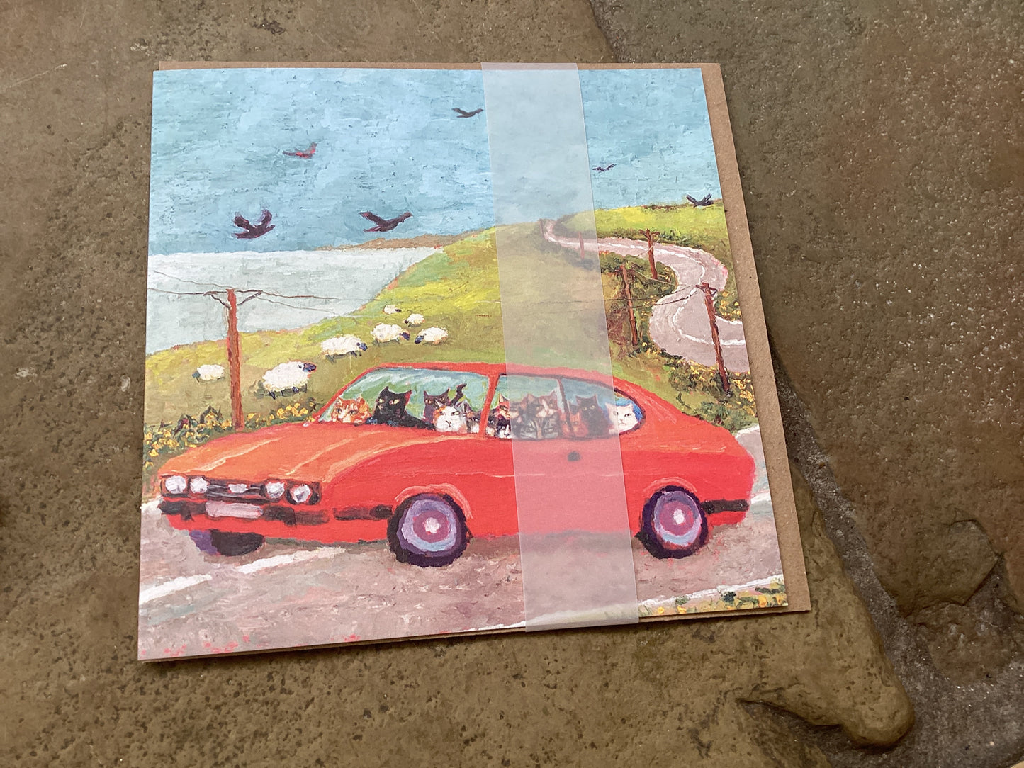 Paper Bird Greeting Card Cats in a Capri