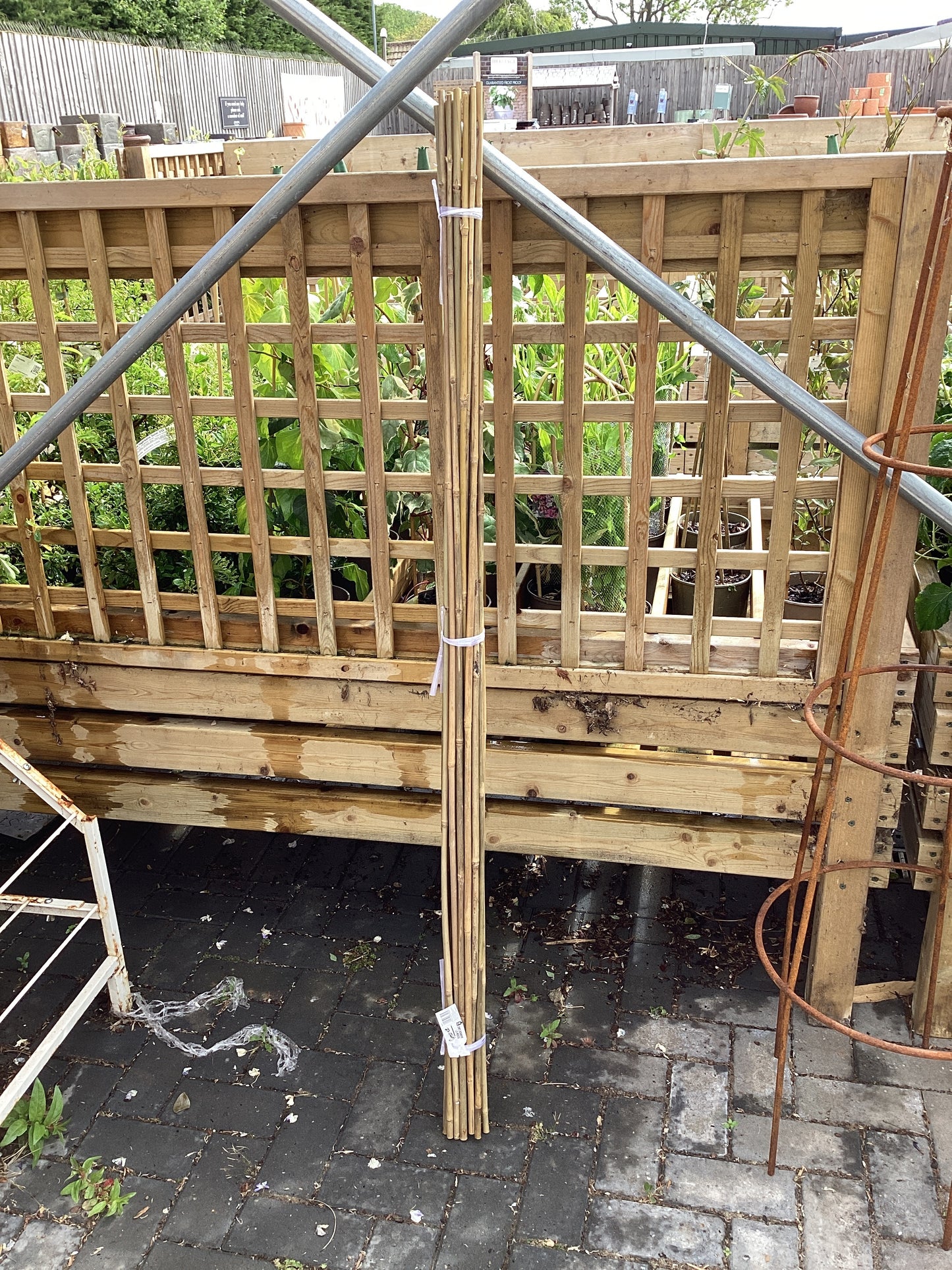 Grow it 150cm (5ft) Bamboo Canes