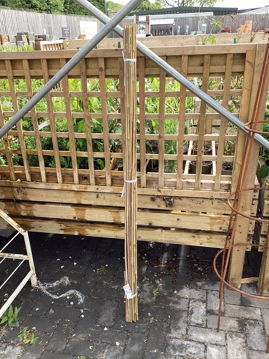 Grow it 150cm (5ft) Bamboo Canes