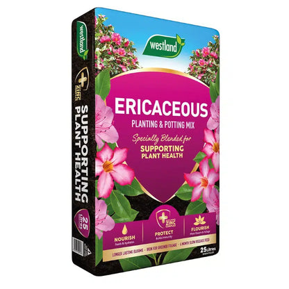 Westland Ericaceous Compost 25L