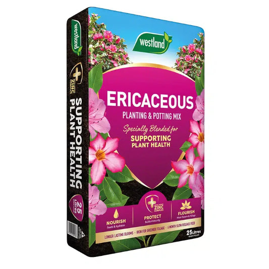 Westland Ericaceous Compost 25L