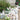 Meadow view Mediterranean Cobbles 60-100mm