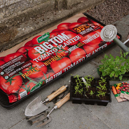 Westland 'Big Tom' Tomato Planter (2 for £14)