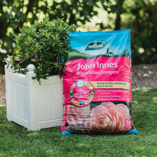 Westland John Innes Ericaceous Compost 25L