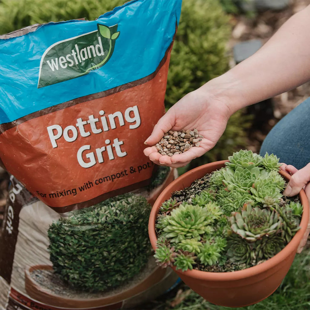 Westland Potting Grit 20kg