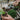 Westland John Innes No.2 Compost 28L (2 for £12)